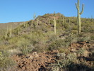 photo thumbnail #8