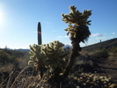 photo thumbnail #11