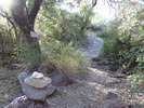 photo thumbnail #14