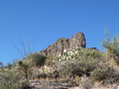 photo thumbnail #15