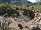 photo thumbnail #7