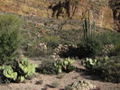 photo thumbnail #8