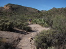 photo thumbnail #14