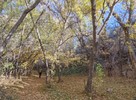 photo thumbnail #2
