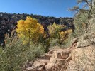 photo thumbnail #5