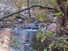 photo thumbnail #9