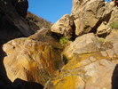 photo thumbnail #12