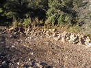 photo thumbnail #13