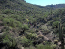 photo thumbnail #11