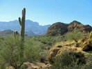 photo thumbnail #13