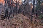 photo thumbnail #5