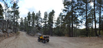 photo thumbnail #8