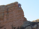 photo thumbnail #4