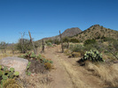 photo thumbnail #5