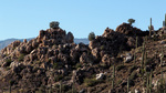 photo thumbnail #11
