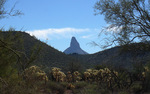 photo thumbnail #13