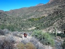 photo thumbnail #4