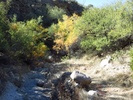 photo thumbnail #1