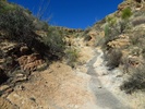photo thumbnail #8