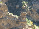 photo thumbnail #14