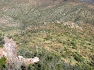 photo thumbnail #15