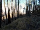 photo thumbnail #10