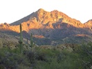 photo thumbnail #1