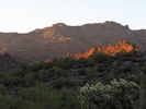 photo thumbnail #2