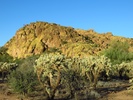 photo thumbnail #4