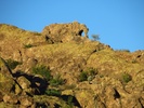 photo thumbnail #5