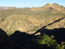 photo thumbnail #6