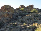 photo thumbnail #14