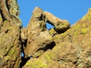 photo thumbnail #15