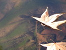 photo thumbnail #10