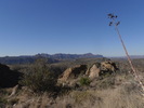 photo thumbnail #1