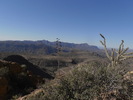 photo thumbnail #4