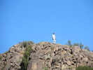 photo thumbnail #8
