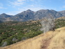 photo thumbnail #1