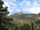 photo thumbnail #2