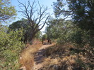photo thumbnail #9
