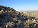 photo thumbnail #4