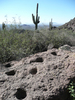 photo thumbnail #2