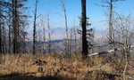 photo thumbnail #6