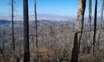photo thumbnail #7
