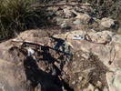 photo thumbnail #7