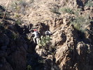 photo thumbnail #8