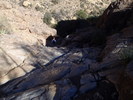 photo thumbnail #10