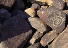 photo thumbnail #12