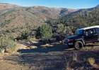 photo thumbnail #5