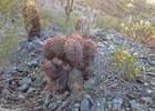 photo thumbnail #1